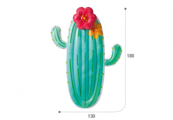    Cactus Float Intex 58793EU