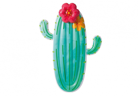    Cactus Float Intex 58793EU